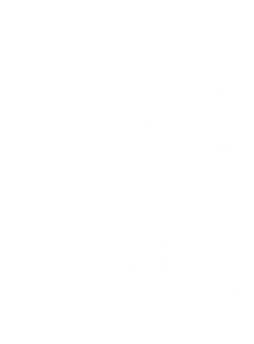 Logo vzw Discovery
